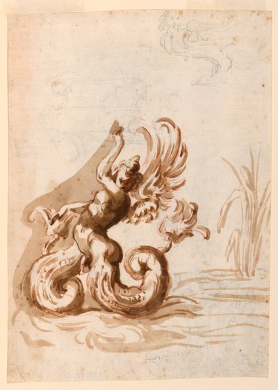 Een gevleugelde Mer-hermafrodiet en schetsen voor een kom door Unknown artist