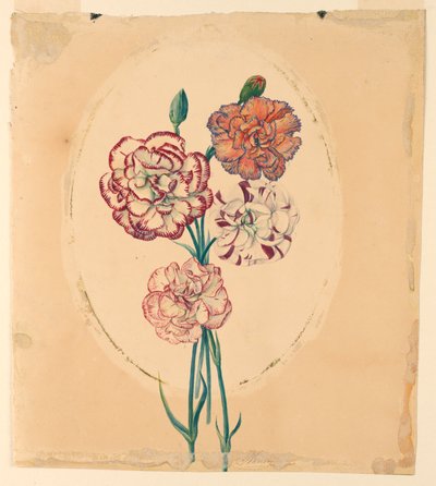 Een bosje van vier anjers door Unknown artist