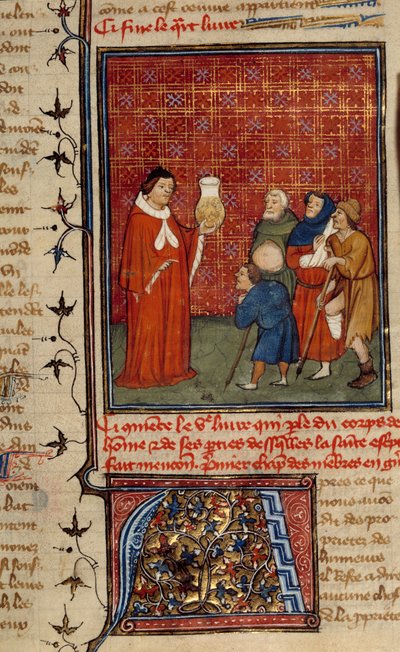 Een dokter die een pot urine onderzoekt voor patiënten. Miniatuur uit Barthelemy de Engelsman door Unknown artist