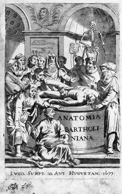 Een anatomieles. Frontispice uit 