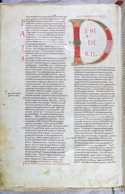 Een pagina uit de 11e-eeuwse Bijbel met hoofdletter D door Unknown artist