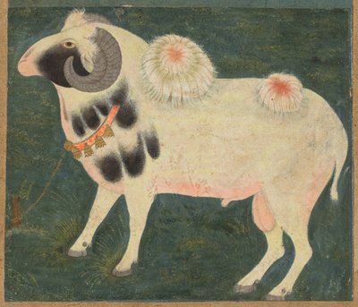 Een koninklijk ram met een gouden ketting door Unknown artist