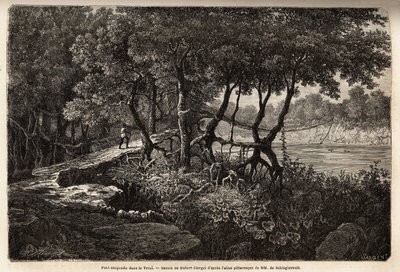 Een hangbrug in de Terai (