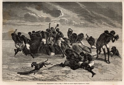Na het nemen van zijn deel en het deel dat aan de leider van de Hamran-stam is toegewezen, vecht de menigte brutaal om de resterende stukken. Gravure ter illustratie van de verkenning van de Abessijnse zijrivieren van de Nijl, door Sir Samuel W. Baker, in door Unknown artist