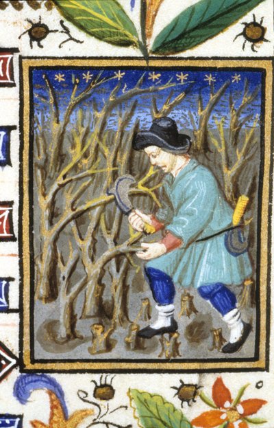 Allegorische voorstelling van maart. Een man die struiken snoeit. Miniatuur van een 14e-eeuws manuscript door Unknown artist