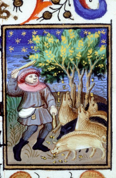 Allegorische voorstelling van november. Een man met een groep varkens die eikels eten. Miniatuur van een 14e-eeuws manuscript. door Unknown artist
