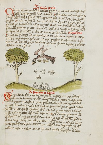 Een adelaar vliegt over een zwerm insecten door Unknown artist