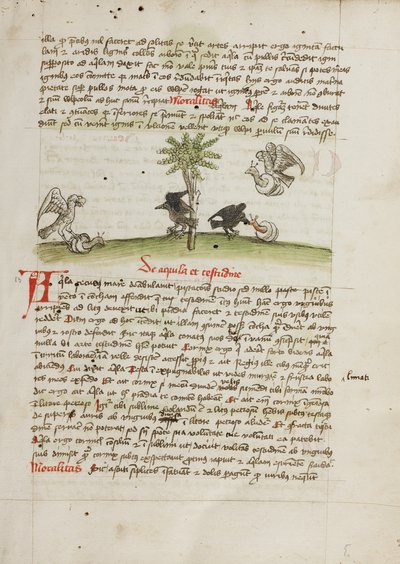 Een adelaar grijpt een slak; een kraai pikt naar een slak door Unknown artist