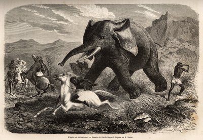 Een olifant eindigt de troep die hem achtervolgde en laadt de jagers te paard, terwijl een van de jagers zijn arm richt om hem te stoppen en af te maken met een moeras. Gravure ter illustratie van de verkenning van de Abessijnse zijrivieren van de Nijl, do door Unknown artist