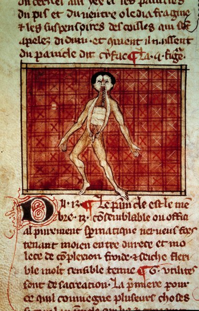 Anatomische figuur: huid, borst open. Miniatuur uit het manuscript Chirurgie geschreven door Henri de Mondeville door Unknown artist