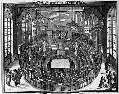 Anatomisch theater van de Universiteit van Leiden, eind 17e eeuw. door Unknown artist