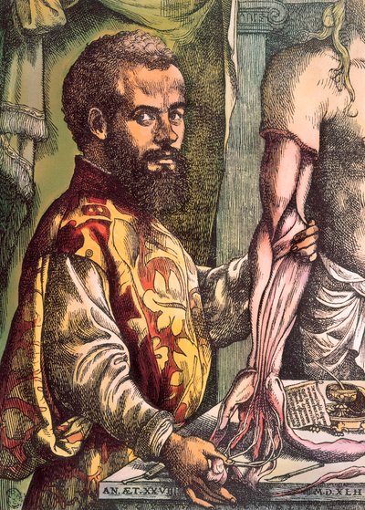 Andreas Vesalius (gravure) door Unknown artist
