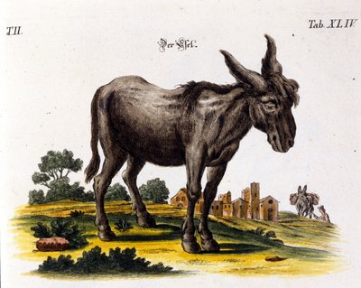 Ankey. 18e eeuwse voorstelling door Unknown artist