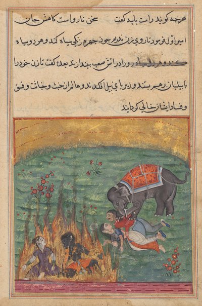 Als straf worden de vrouw van de nar en de Zangi in het vuur gegooid en worden de vrouw van de emir en de mahout vertrapt door een olifant, uit een Tuti-nama (Verhalen van een Papegaai), Tweeëntwintigste Nacht door Unknown artist