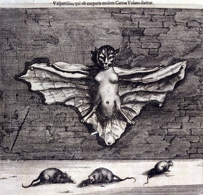 Vleermuizen en ratten, uit 