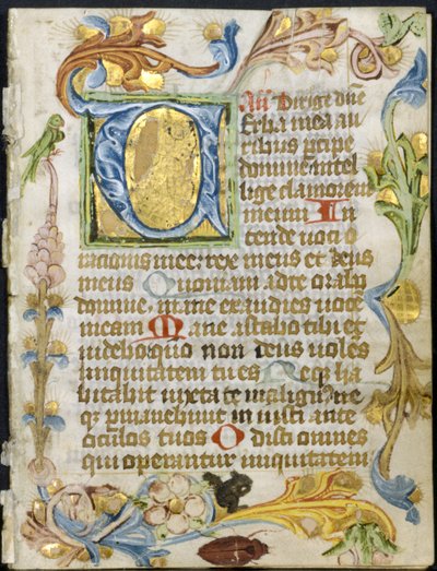 Bifolio uit een Getijdenboek: Initiaal V met Bloemenrand door Unknown artist