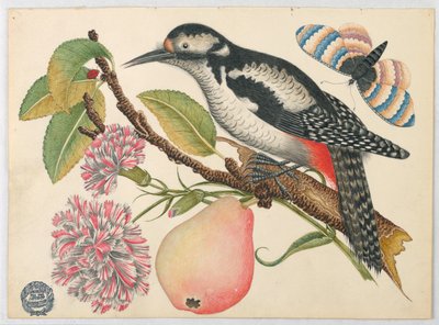Vogel, vlinder en peer door Unknown artist