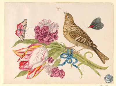 Vogel met Tulp, Anjer, Vlinders en Insect door Unknown artist