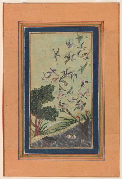 Vogels bij Baran, mogelijk uit de Babur-nama door Unknown artist