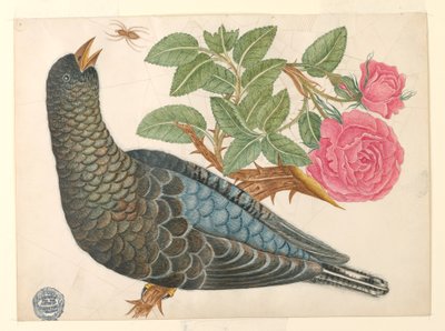 Blauw-zwarte vogel op rozentak met spin door Unknown artist