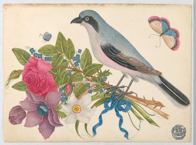 Blauwe Vogel op Boeket van Rozen en Tulpen, met Vlinders door Unknown artist