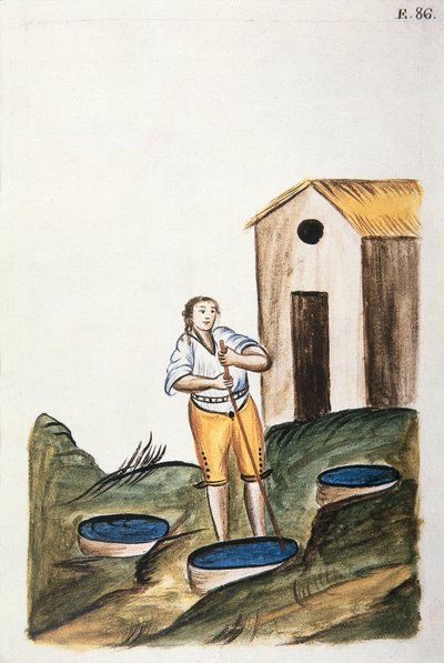 Blauwe verfbak gebruikt om wol te verven, uit het boek "Trujillo del Peru" of "Códice Martínez Compañón", door Baltazar Martinez Compañón y Bujanda, bisschop van Trujillo (1782-1785) door Unknown artist
