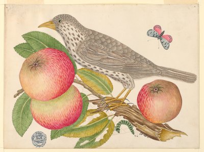 Bruine vogel op appelboomtak, met rups door Unknown artist