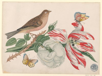 Bruine vogel op tak met roos, tulp en insecten door Unknown artist