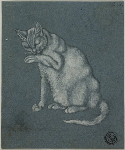 Kat likt poot door Unknown artist