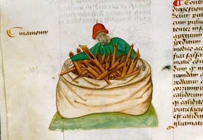 Kaneelverkoper Beschrijving van geneeskrachtige planten en hoe ze te bereiden door Unknown artist