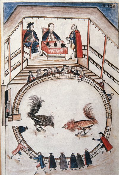 Haanengevecht, een edelman woont het duel bij, uit het boek "Trujillo del Peru" of "Códice Martínez Compañón" door Baltazar Martinez Compañón y Bujanda, bisschop van Trujillo (1782-1785) door Unknown artist