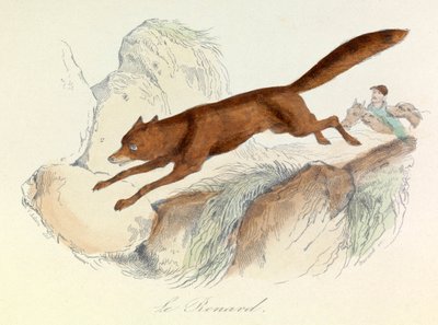 "Completes de Buffon" met de nomenclatuur van Linneene en de classificatie van Cuvier: Les animaux: De vos (gravure) door Unknown artist