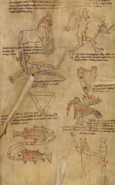 Sterrenbeeld diagrammen door Unknown artist