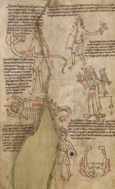 Sterrenbeeld diagrammen door Unknown artist
