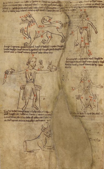 Sterrenbeeld diagrammen door Unknown artist