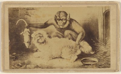 [Kopie van een schilderij met een aap die een rat bij zijn staart vasthoudt voor een kleine witte hond]. door Unknown artist