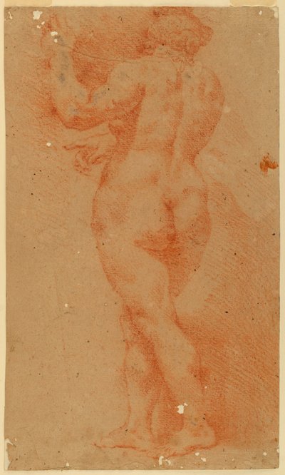 Tegenproefstudie van een naakte vrouw door Unknown artist