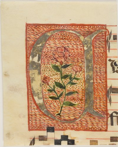 Versierde initiaal "A" met bloem uit een manuscript door Unknown artist