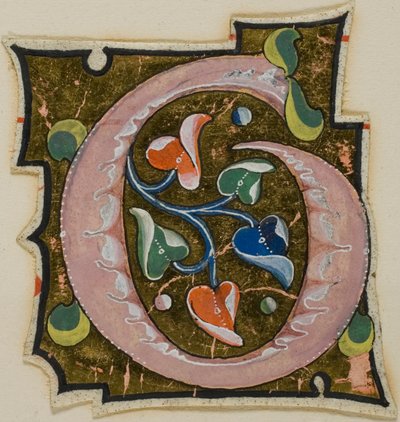 Versierde initiaal "G" in roze met krulbladeren uit een manuscript door Unknown artist