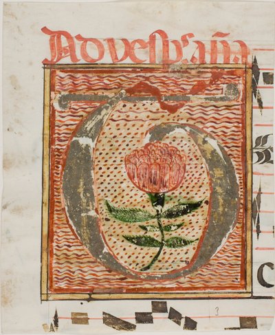 Versierde initiaal "T" met bloem uit een manuscript door Unknown artist