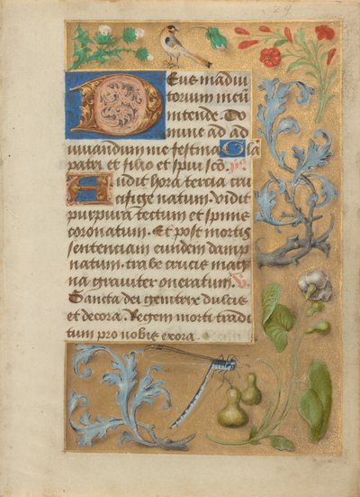 Versierde tekstpagina door Unknown artist