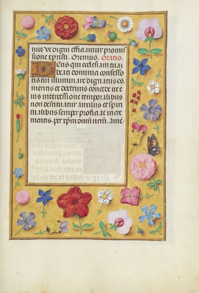 Versierde tekstpagina door Unknown artist