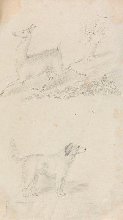 Herten en Hond door Unknown artist