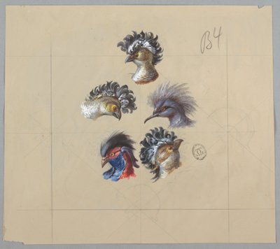 Ontwerp voor behang en textiel: Vogels door Unknown artist