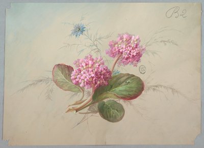 Ontwerp voor behang en textiel: Bloemen door Unknown artist