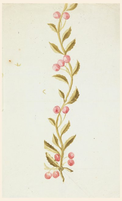Ontwerp voor geweven of geborduurde randen door Unknown artist
