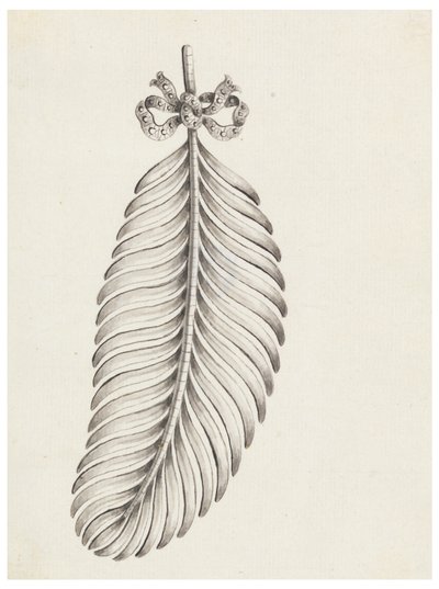 Ontwerp voor een broche in de vorm van een veer door Unknown artist