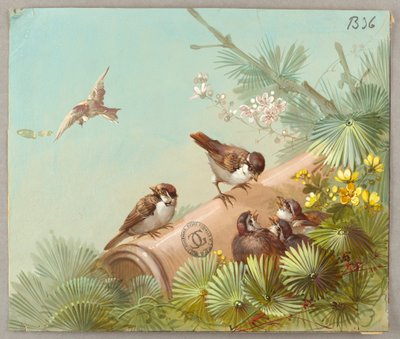 Ontwerpen voor behang en textiel: bloemen en vogels door Unknown artist