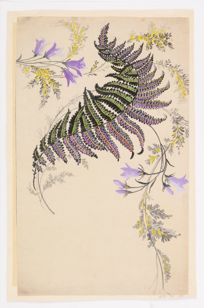 Tekening door Unknown artist