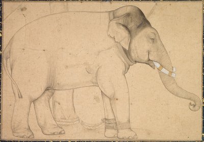 Tekening van een Olifant door Unknown artist